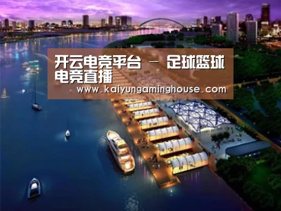 案例展示八