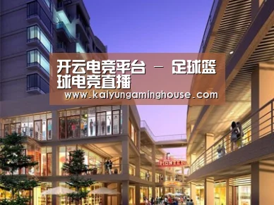 案例展示一