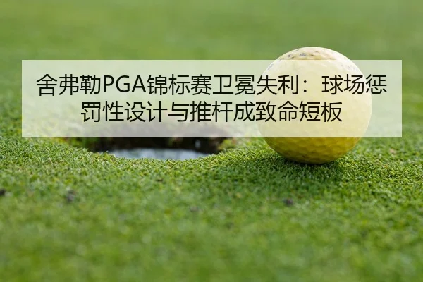 she-fu-lei-jin-biao-sai-wei-mian-shi-li-qiu-chang-cheng-fa-xing-she-ji-yu-tui-gan-cheng-zhi-ming-duan-ban-3-701.jpg