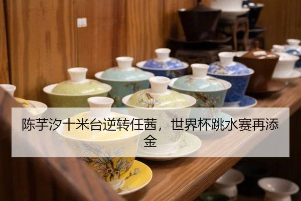 chen-yu-xi-shi-mi-tai-ni-zhuan-ren-qian-shi-jie-bei-tiao-shui-sai-zai-tian-jin-2-440.jpg